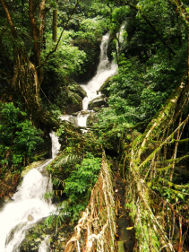Nongriat 1 (background, crossing stream), during the monsoon season of 2012.