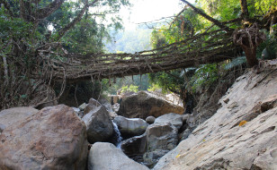 The middle span of Nongsteng 1
