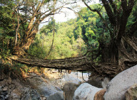 The southern span of Nongsteng 1.