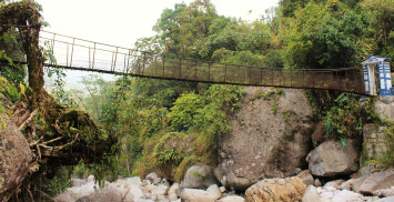 In the foreground are the remnants of a living root bridge which was destroyed recently in a landslide. The bridge in the background was built to replace it only a few years ago.