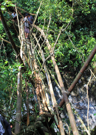 The same root bridge in 2016