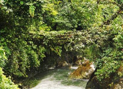 Nongriat 5 in the late monsoon season of 2012.