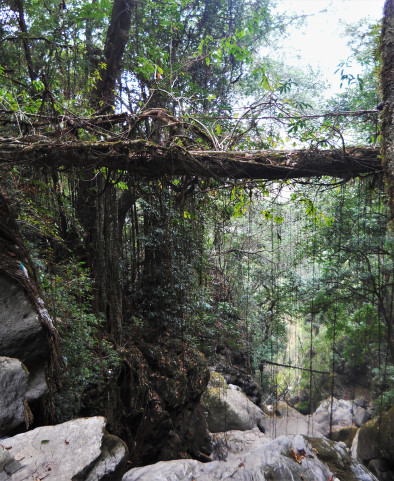 Rangthylliang 8