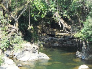 The remnants of Kudeng Rim 6 from the concrete bridge that replaced it. This bridge was destoryed after it receved heavy fire damage due to a dropped beedi or torch. My source says the fire happened about 15 years ago, though the bridge stood for some time after that, slowly withering.