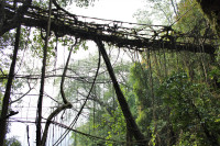 Looking up at the functioning span of Rangthylliang 4.