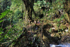 A view towards the angle formed by the meeting of the two spans.