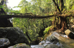 The longer span of Rangthylliang 8