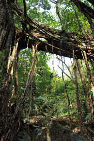 The older span of Thangkyrta 2.