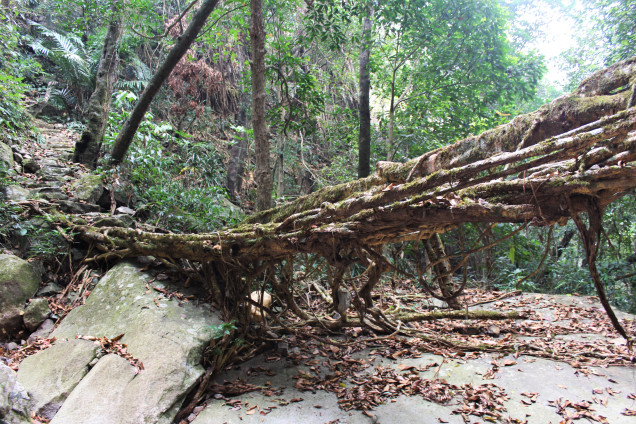 The span of Mawshken 1, as seen from a dry stream bed.