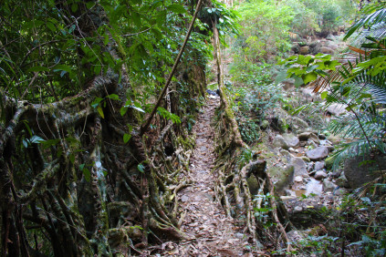 The span of Darrang 1, looking north.