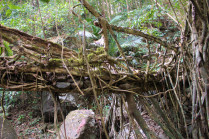 Darrang 1, viewed from downstream. Note damage to the railings. Also, note the rocks embedded in the structure to form a walkway.