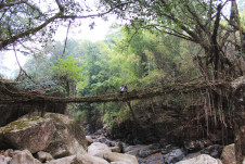 Pdei/Kongtim 1 in 2016.
