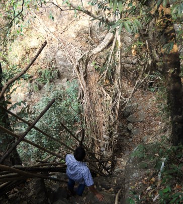 On the path leading down to the living root bridge.